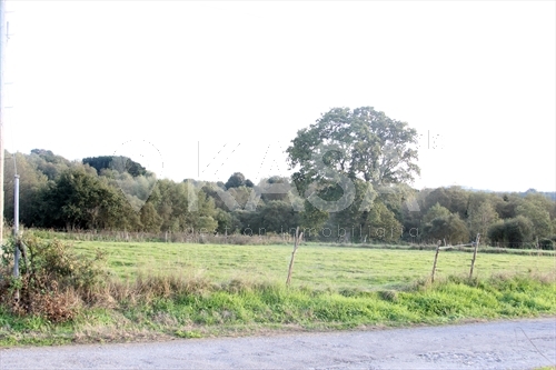 PARCELA O CRUCEIRO - BEGONTE, LUGO