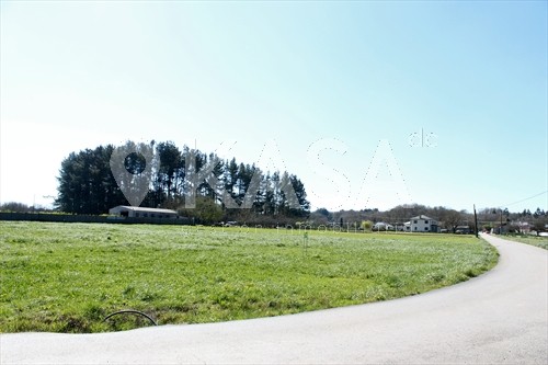 PARCELAS EN SAN SALVADOR DE DAMIL - BEGONTE, LUGO